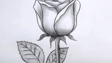 Drawing:Rso7fhbkxvy= Rose