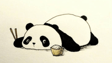 Drawing:Tjdpvrb218i= Panda