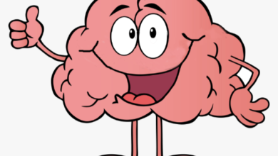 Clipart:Ee-Zgj_H1oc= Brain