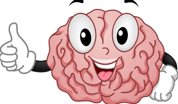 Clipart:Ee-Zgj_H1oc= Brain