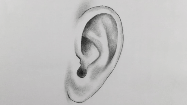 Art:065ftxliirw= Ear Drawing