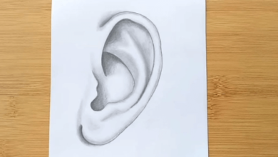 Art:065ftxliirw= Ear Drawing