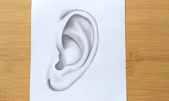 Art:065ftxliirw= Ear Drawing