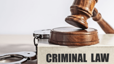 Criminal Defense Attorney