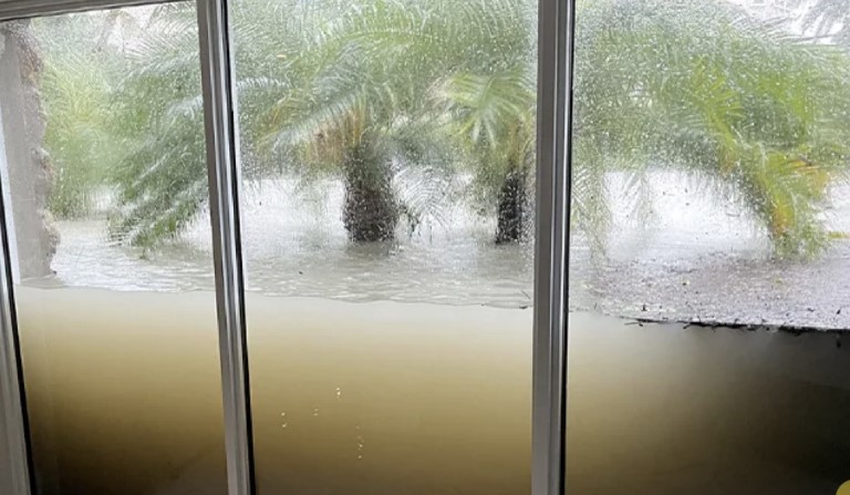 Hurricane Windows