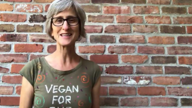 Vegan Teacher Net Worth: Controversial TikTok Activist's Earnings