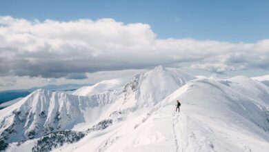 sbi blue registration code