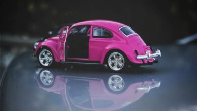 alluring beautiful car plates