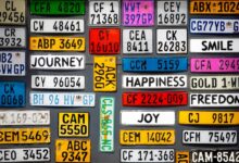autonomous numbers license plate