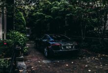 car plate cost estimator