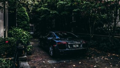 car plate cost estimator