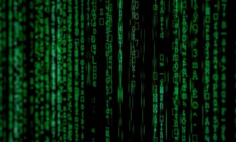 deciphering digital code complexities