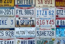 exploring state vehicle numbers