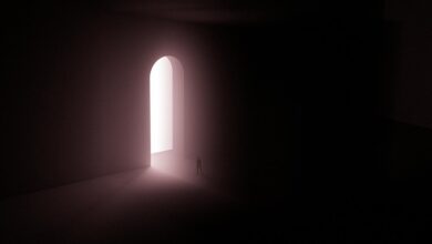 hidden digital entity revealed