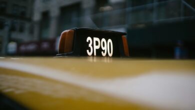 significance of vehicle identification