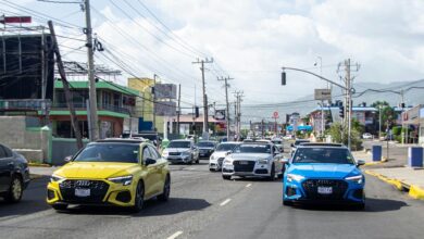unique cars with plates