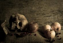 fudholyvaz ingredients and uses