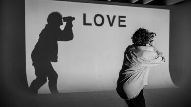 h maiz profile summary details