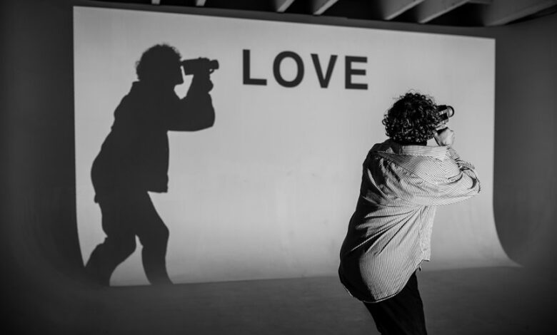 h maiz profile summary details