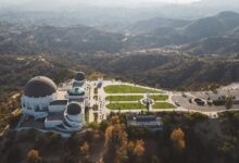 hollywood profile summary overview