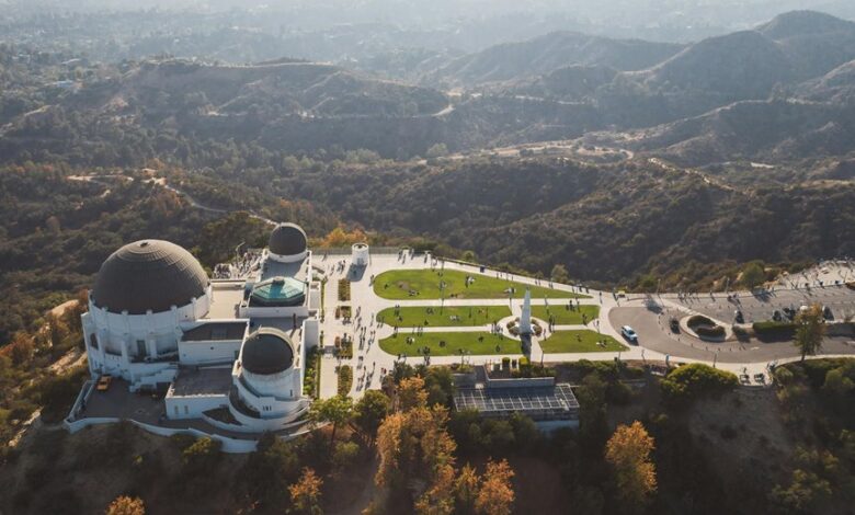 hollywood profile summary overview