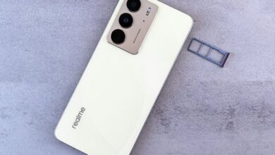 hrms globex functionalities explained