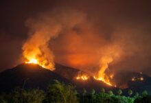 jancilkizmor risks and safety