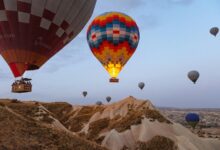 admission sequencing brief identifiers