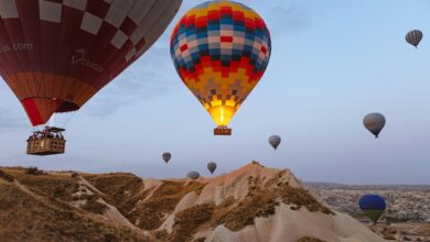 admission sequencing brief identifiers