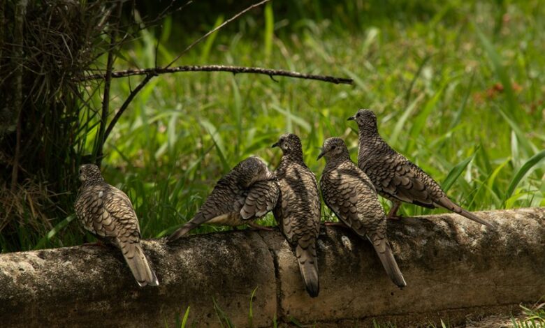 dataset reference log entries