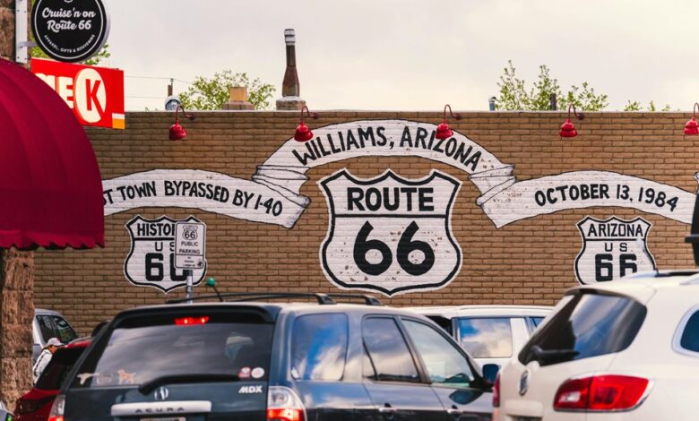 dynamic expansion strategy project