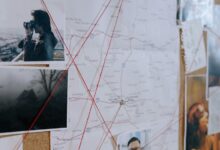 investigation findings and concerns