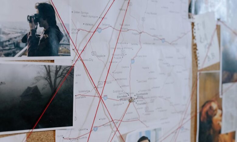 investigation findings and concerns