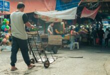 market trends and analysis