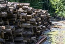 registry logs and tracking