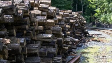 registry logs and tracking