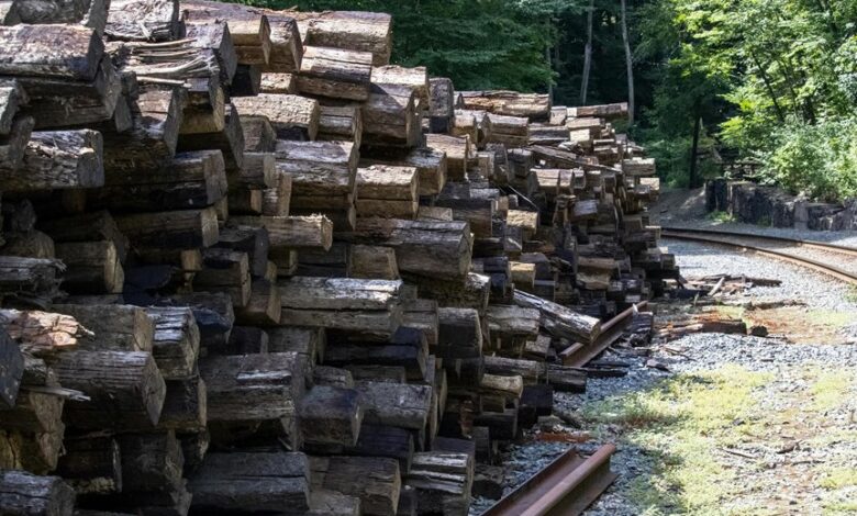 registry logs and tracking