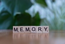 provide a four word phrase capturing specifics