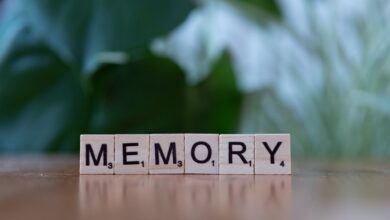 provide a four word phrase capturing specifics